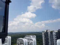 Eco Sanctuary (D23), Condominium #149670342
